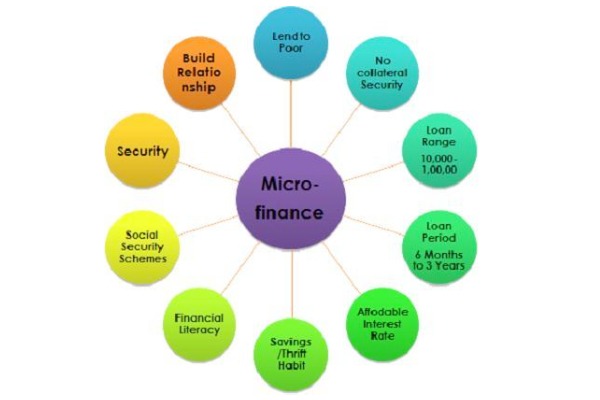 Micro Loan Services
